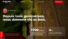 Design UX/UI et Branding
